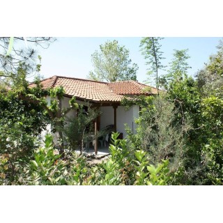 Ferienhaus in Ileia ab 48€ pro Nacht