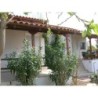 Ferienhaus in Ileia ab 54€ pro Nacht