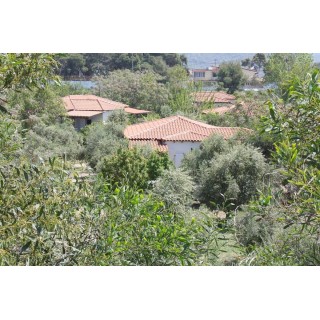 Ferienhaus in Ileia ab 48€ pro Nacht