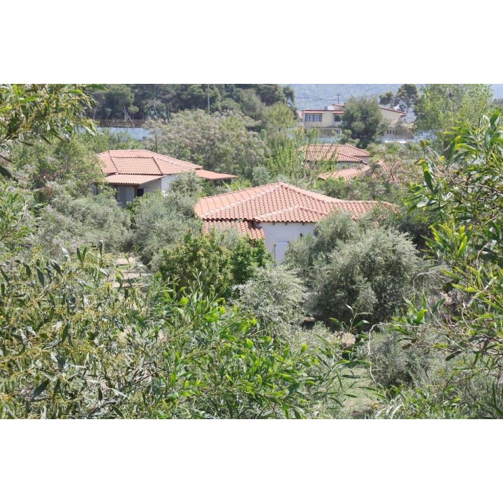 Ferienhaus in Ileia ab 48€ pro Nacht