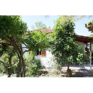 Ferienhaus in Ileia ab 48€ pro Nacht