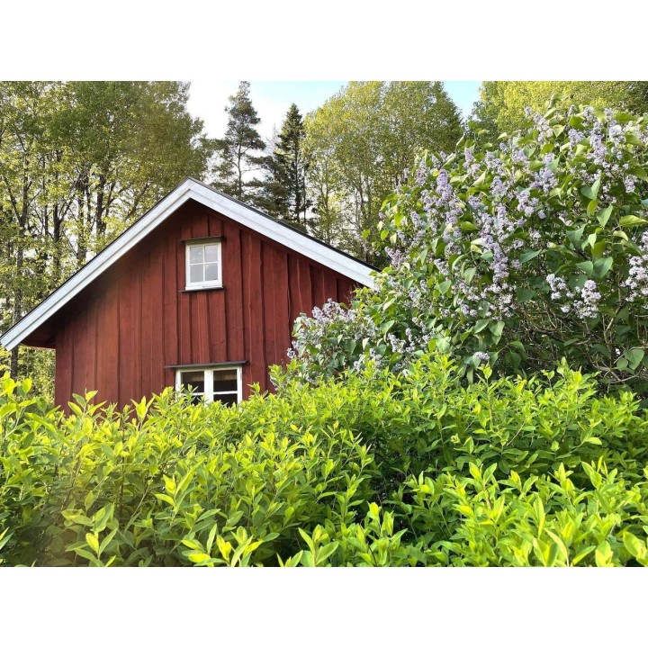 Ferienhaus in Dalsland ab 43€ pro Nacht