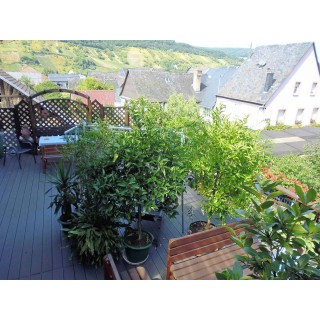 Ferienwohnung in Mosel ab 47€ pro Nacht