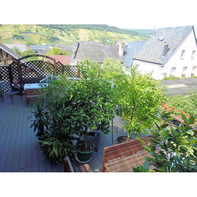 Ferienwohnung in Mosel ab 47€ pro Nacht