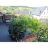 Ferienwohnung in Mosel ab 47€ pro Nacht