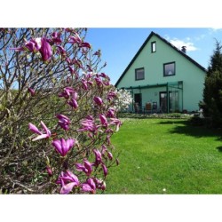 Ferienwohnung in Binz ab 56€ pro Nacht