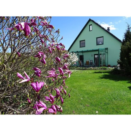 Ferienwohnung in Binz ab 56€ pro Nacht