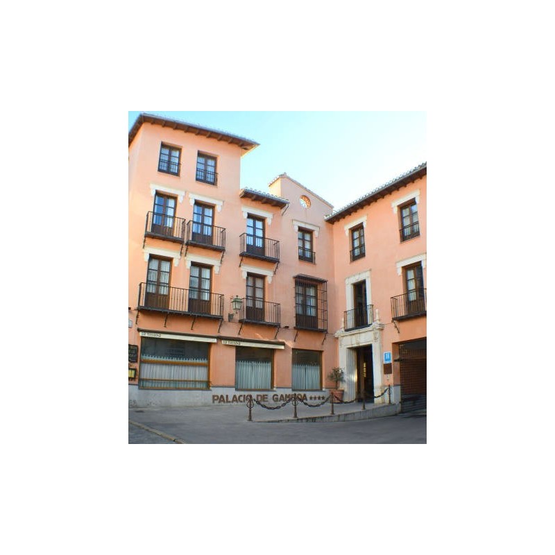 Sercotel Palacio de los Gamboa