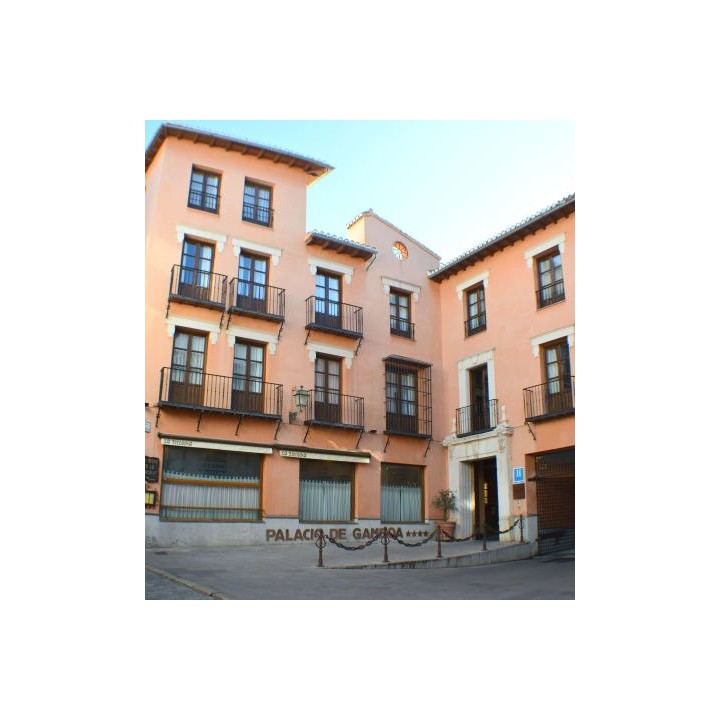 Sercotel Palacio de los Gamboa