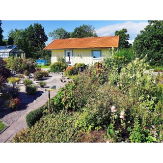 Ferienhaus in Sämstad ab 45€ pro Nacht