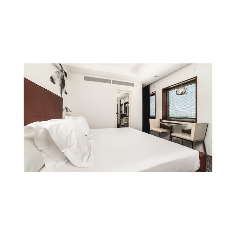 UR Hotel Palacio Avenida - Adults only