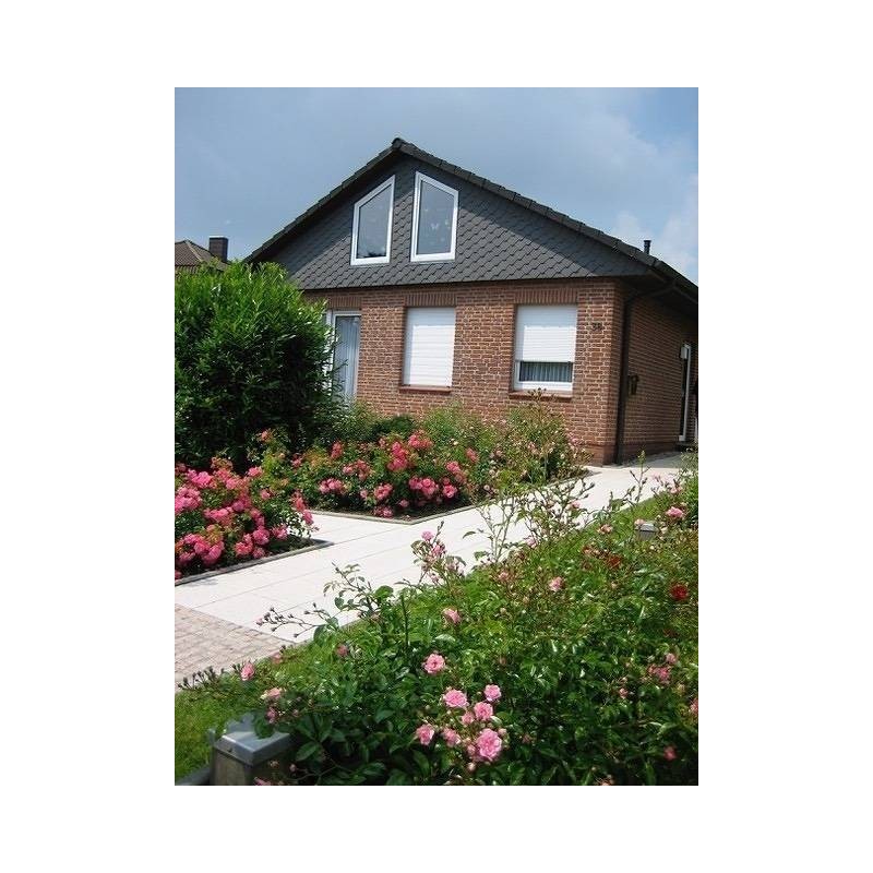 Ferienhaus in Dahme ab 55€ pro Nacht
