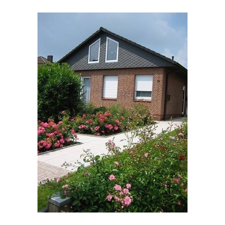 Ferienhaus in Dahme ab 55€ pro Nacht