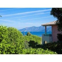 Ferienwohnung in Haute-Corse ab 59€ pro Nacht