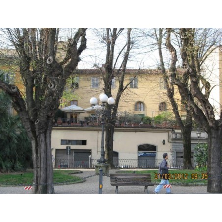 Hotel Silla