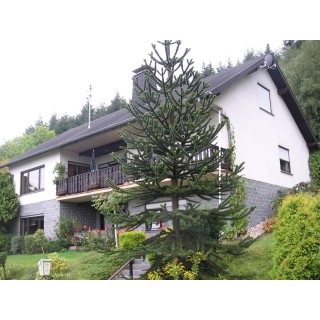 Ferienwohnung in Eifel ab 39€ pro Nacht