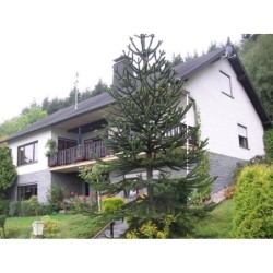 Ferienwohnung in Eifel ab 39€ pro Nacht