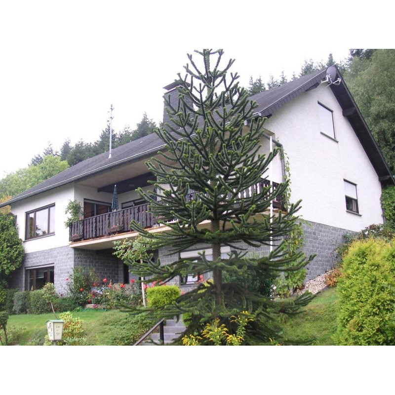 Ferienwohnung in Eifel ab 39€ pro Nacht