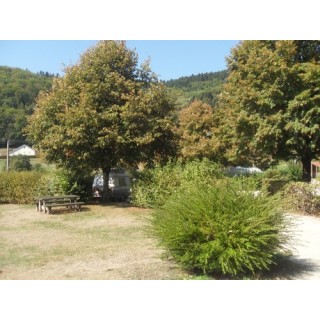 L'Orée des Vosges - Camping Municipal