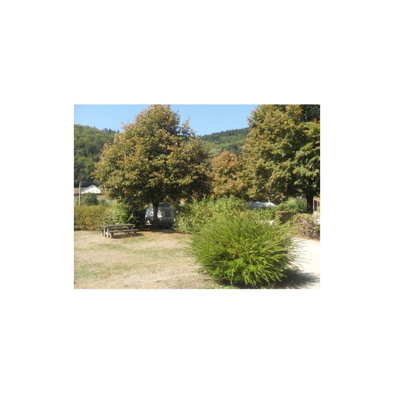 L'Orée des Vosges - Camping Municipal