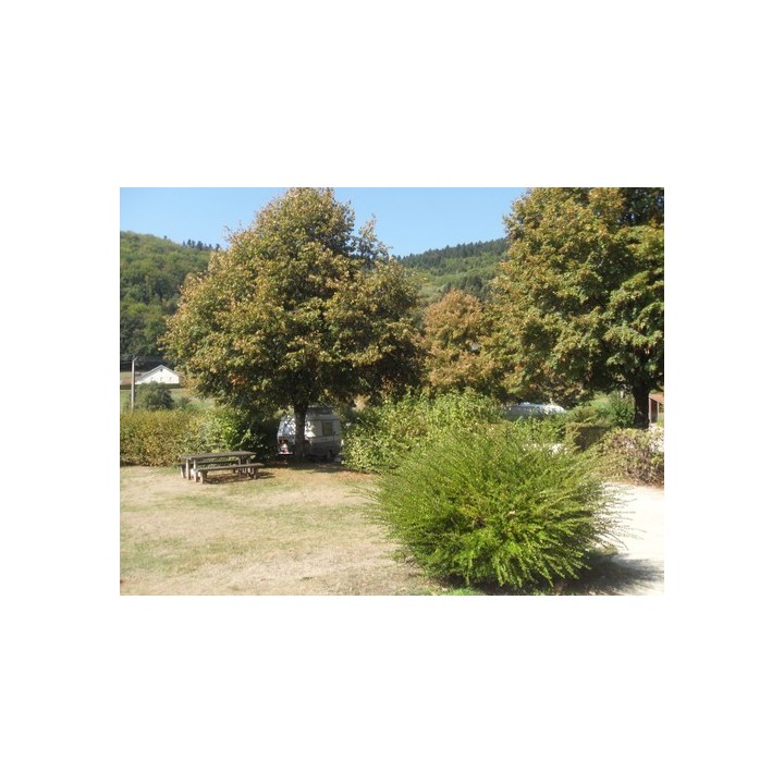 L'Orée des Vosges - Camping Municipal