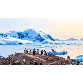 Kreuzfahrten Südamerika & Antarktis: Kreuzfahrt mit Sapphire Princess ab/an Buenos Aires, bzw. von San Antonio bis Bunos Aire