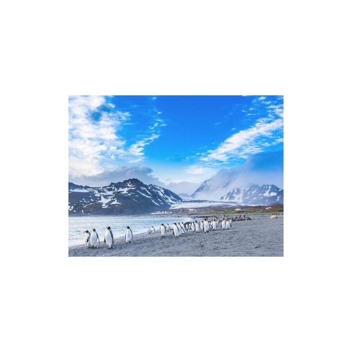 Kreuzfahrten Südamerika: Kreuzfahrt mit Sapphire Princess von San Antonio bis Buenos Aires inkl. Vorprogramm in Santiago de C