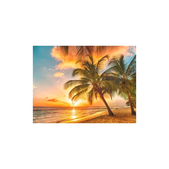 Kreuzfahrten Transatlantik: Kreuzfahrt mit MSC Virtuosa von Rotterdam bis Fort-de-France