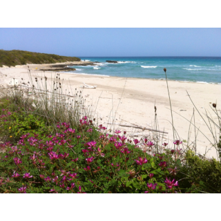 Camping Agriturismo Fontanelle