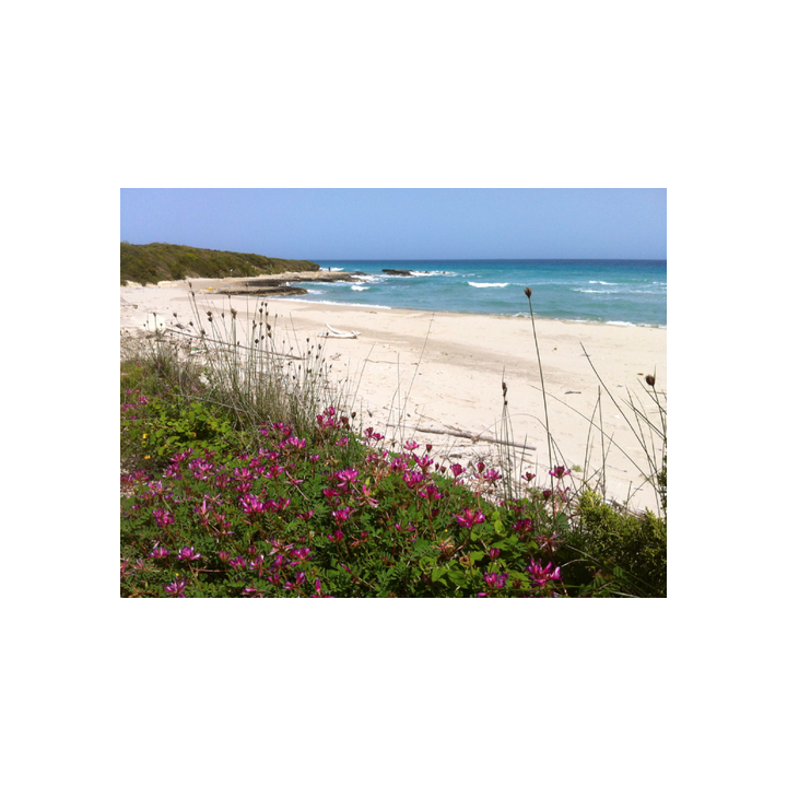 Camping Agriturismo Fontanelle