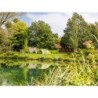Camping Au an der Donau