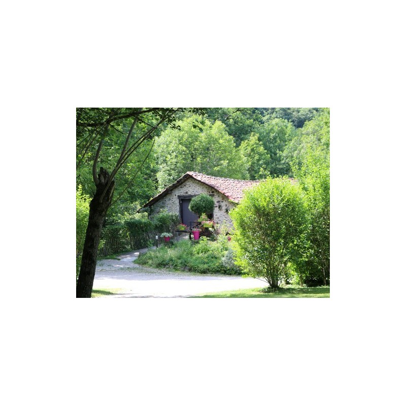 Camping Moulin de Chaules
