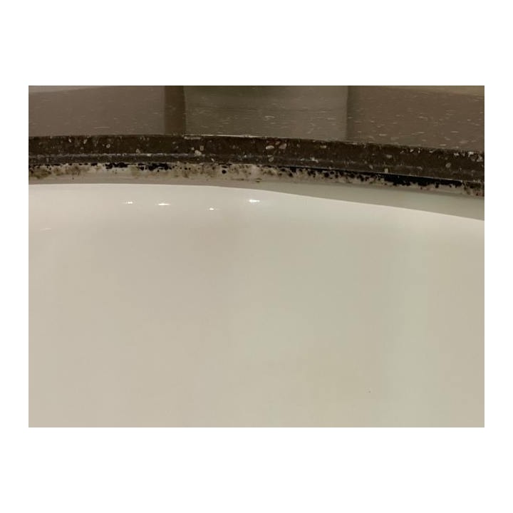 Hotel Macdonald Windsor