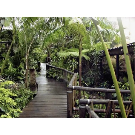 Umlilo Lodge