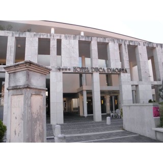 Hotel Duca D'Aosta