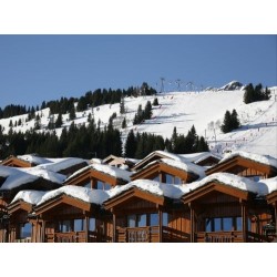 Ferienwohnung Les Chalets du Forum  - 4-7 Personen