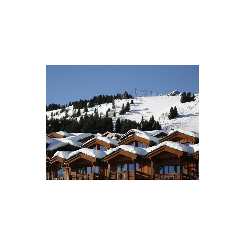 Ferienwohnung Les Chalets du Forum  - 4-7 Personen