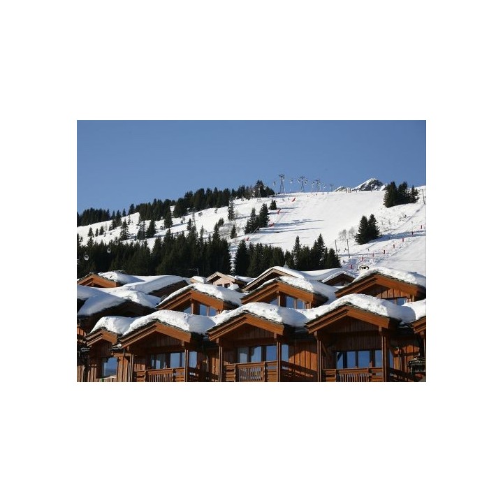 Ferienwohnung Les Chalets du Forum  - 4-7 Personen