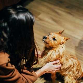 Petit Palace Santa Cruz