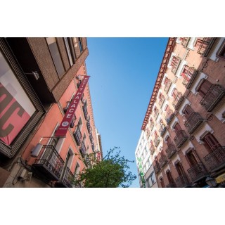 Petit Palace Tres Cruces Spain