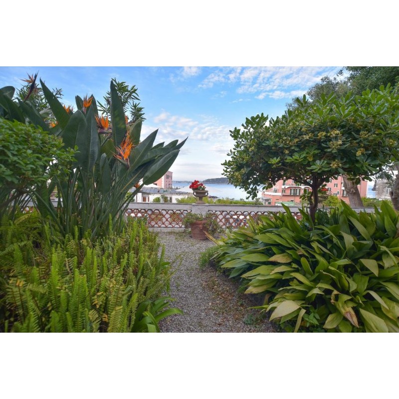 Villa Panoramica