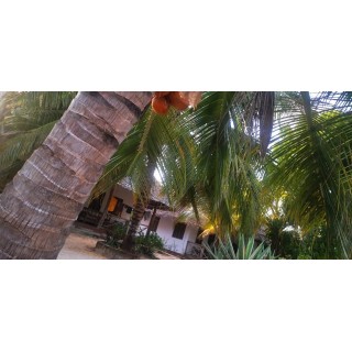 Hotel Mbuyuni Beach Village