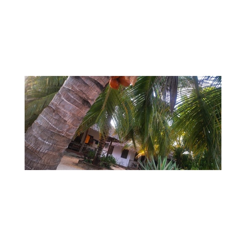 Hotel Mbuyuni Beach Village