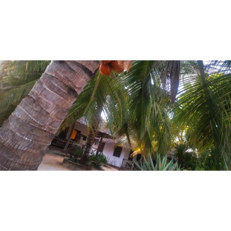 Hotel Mbuyuni Beach Village