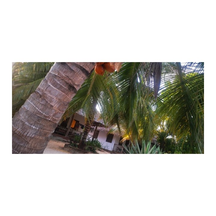 Hotel Mbuyuni Beach Village