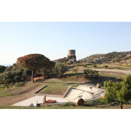 Incoronato