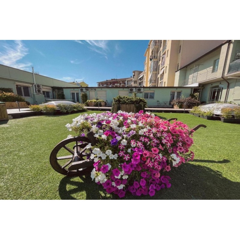 WellHome Asti