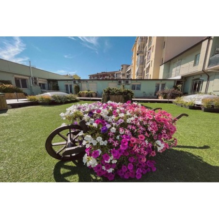 WellHome Asti