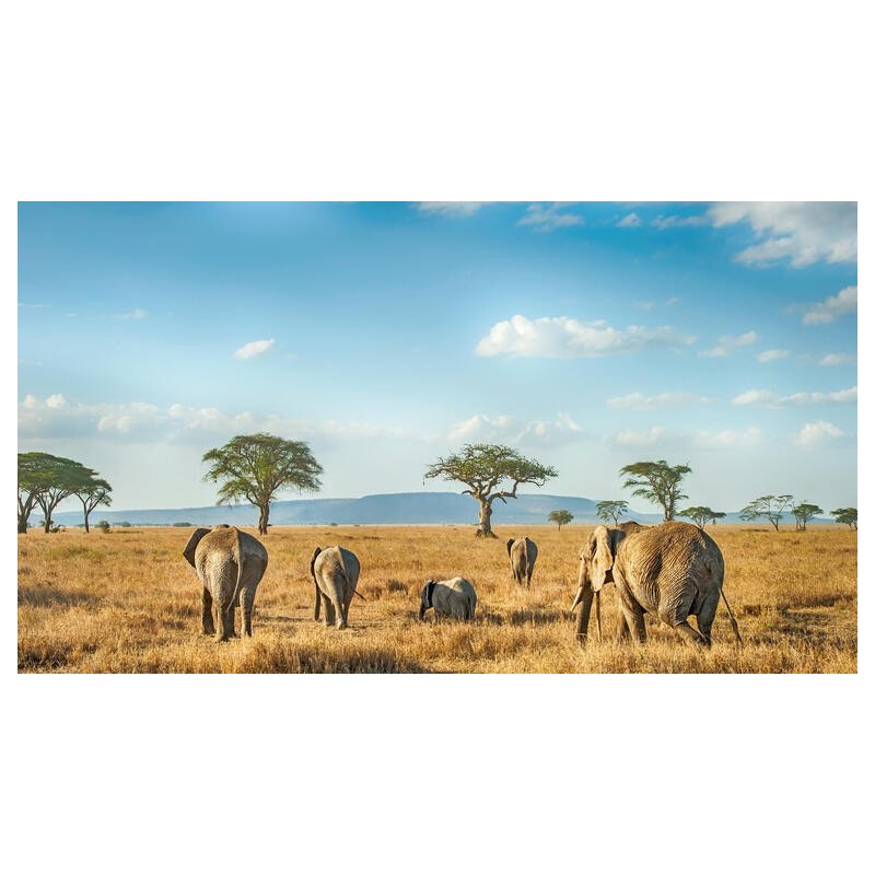Rundreisen Tansania & Sansibar: Safari, Kultur & Badeparadies