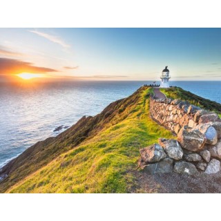 Rundreisen Neuseeland: Zwischen Vulkanen, Fjorden & Regenwald